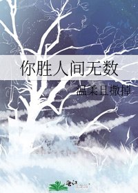 你胜人间无数
