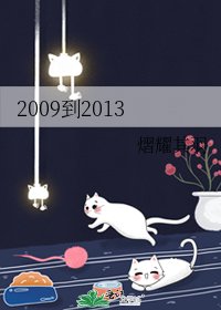 2009到2013